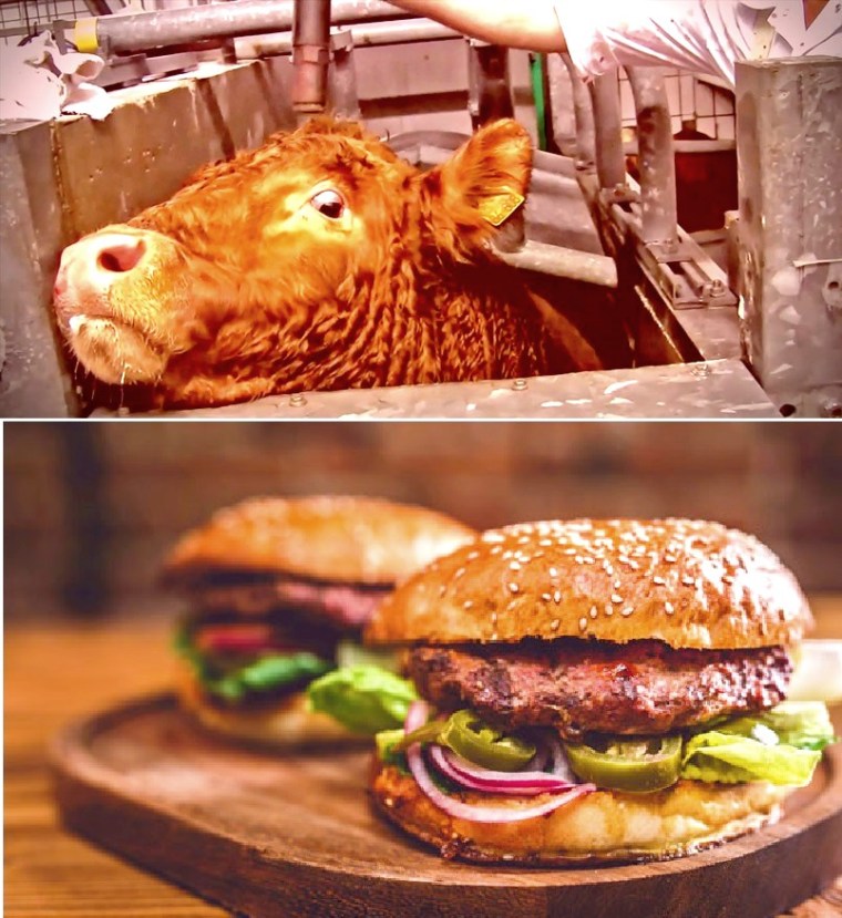 Blog Eintrag 2015_06 Adbusting 'Gutes Fleisch'